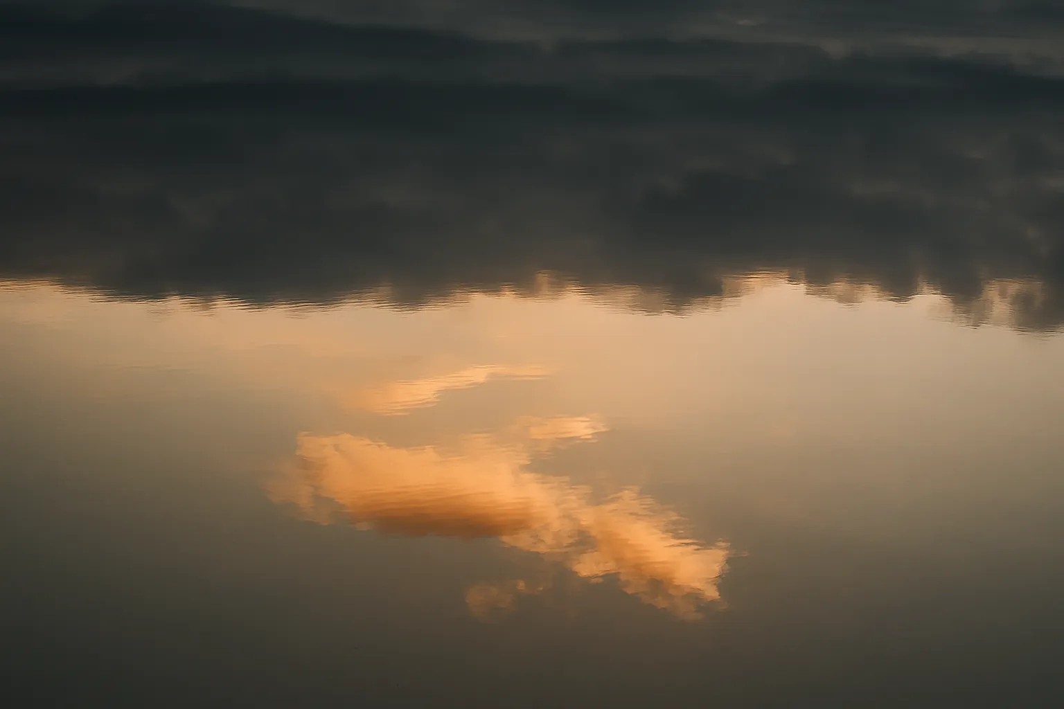 trí tuệ cuộc sống